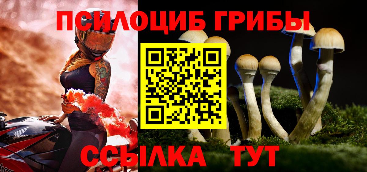 Псилоцибиновые грибы GOLDEN TEACHER  Вход с VPN  дарнет шоп  Нефтеюганск 