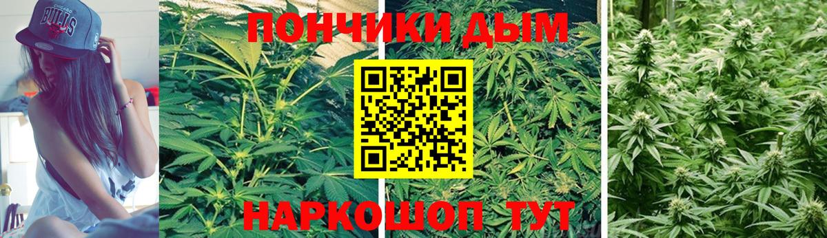 Бошки марихуана марихуана Нефтеюганск